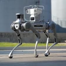 Unitree B2 Güçlü ve Dayanıklı Endüstriyel Robot