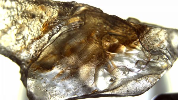 Prozoom Digi 22 Yüksek Çözünürlüklü 4K USB Dijital Mikroskop